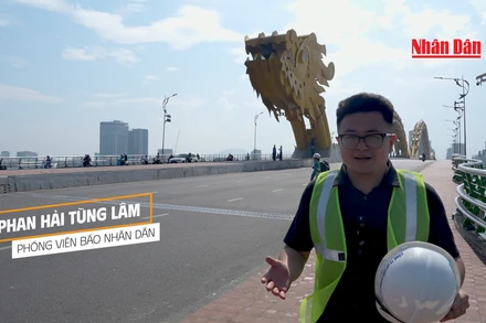 Theo chân những người "chăm Rồng" tại thành phố Đà Nẵng