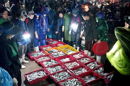 Rất đông tiểu thương đứng chờ để thu mua hải sản ngay khi vừa được đưa từ dưới thuyền lên.