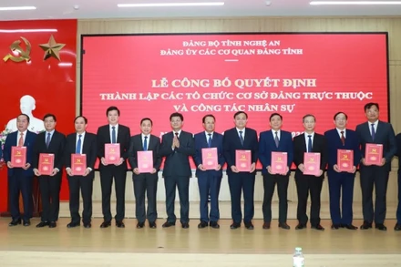 Các đồng chí Thường trực Đảng ủy Các cơ quan Đảng tỉnh Nghệ An trao quyết định thành lập các tổ chức cơ sở đảng trực thuộc và công tác nhân sự.