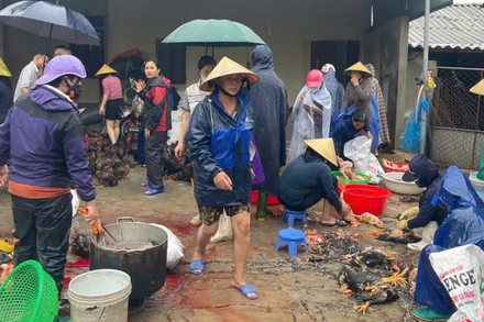 Người dân địa phương hỗ trợ gia đình ông Tâm làm thịt gà để bán, giảm bớt thiệt hại.