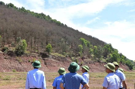 Tại huyện Nghi Lộc, sâu róm gây hại nặng trên địa bàn các xã Nghi Yên, Nghi Tiến, Nghi Quang, Nghi Xá. Tổng diện tích rừng thông bị nhiễm sâu lên đến 750ha.