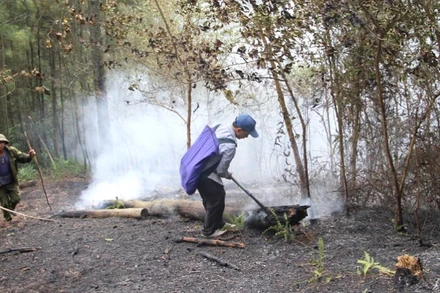 Đám cháy cơ bản đã được dập tắt vào trưa nay.