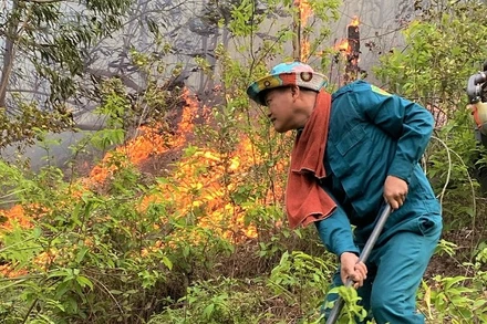 Ngọn lửa bùng phát trở lại ở khu vực rừng thuộc xóm Tân Phong, xã Thanh Khai, huyện Thanh Chương vào sáng nay.