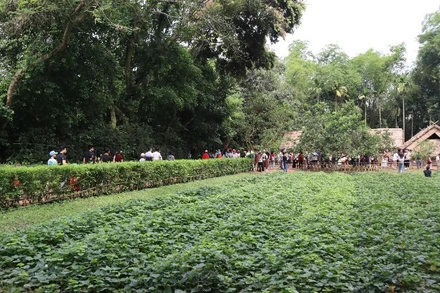 Hàng nghìn người dân, du khách đã về thăm khu Di tích lịch sử quốc gia đặc biệt Kim Liên - Quê hương của Chủ tịch Hồ Chí Minh.