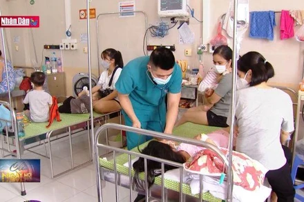 Không chủ quan điều trị sốt xuất huyết cho trẻ tại nhà