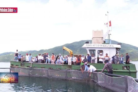 Khuyến khích ứng dụng công nghệ trong buôi biển