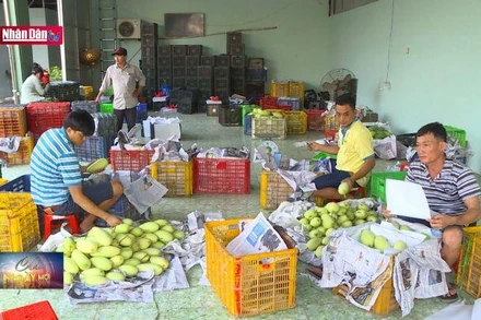 Tăng chế biến sâu, lối mở cho xuất khẩu nông sản