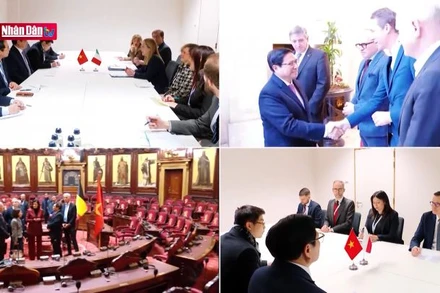 Việt Nam và những dấu ấn đối ngoại trong năm 2022