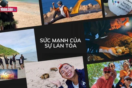 Môi trường xanh: Nỗ lực bảo tồn, bảo vệ rùa biển