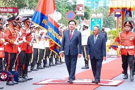 Nâng tầm hợp tác song phương, thúc đẩy đoàn kết và phát triển khu vực