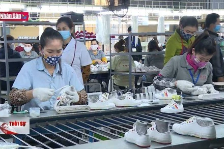 Doanh nghiệp chịu áp lực kép từ biến động tỷ giá