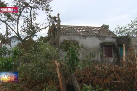 Thừa Thiên Huế hỗ trợ người dân bị thiên tai