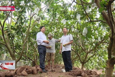 Phát huy tinh thần dám nghĩ, dám làm của người đứng đầu