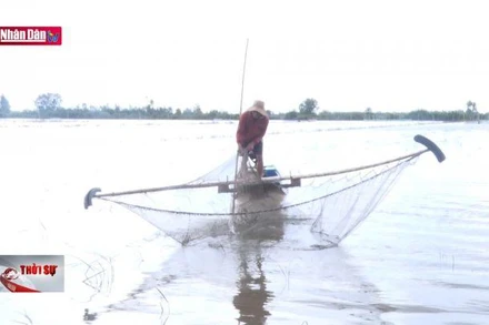 Người nghèo Long An ấm lòng mùa nước nổi