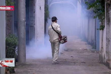 Tăng cường phòng, chống sốt xuất huyết tại những vùng điểm nóng