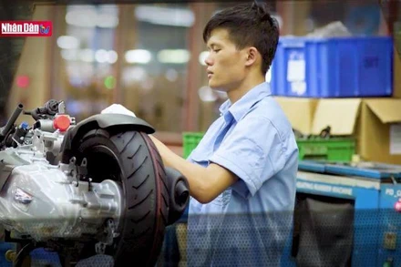 Báo động lừa đảo thương mại quốc tế