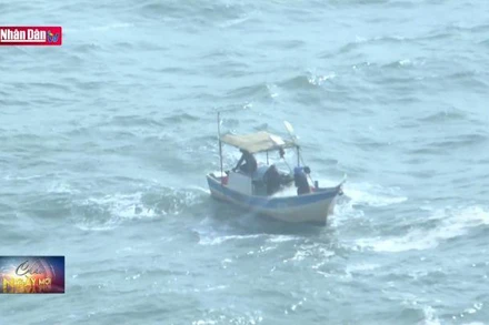 Cảnh báo tàu cá công suất nhỏ ra khơi mùa biển động