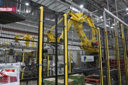 Huy động tài chính xanh phục vụ tăng trưởng bền vững