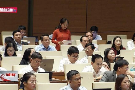 Xem xét trách nhiệm của cơ quan chủ quản trong hoàn thiện pháp luật