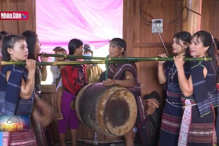 Gia Lai phục dựng lễ hội truyền thống gắn với phát triển du lịch