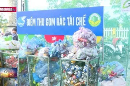 Chương trình tấm lưới xanh chung tay bảo vệ môi trường biển