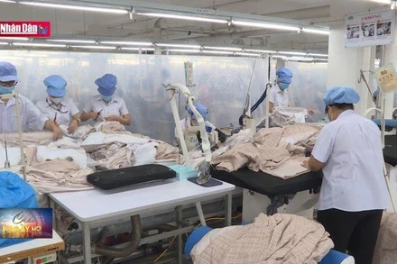 Phấn đấu 100% người bị tai nạn lao động được hưởng chế độ theo quy định