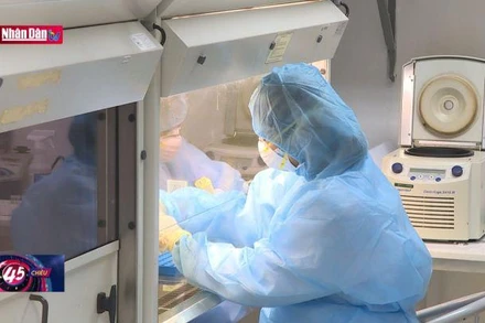 Cho phép sử dụng giấy đăng ký lưu hành thuốc hết thời hạn hiệu lực