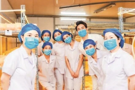 Khu nuôi cấy đông trùng hạ thảo của Mailands.