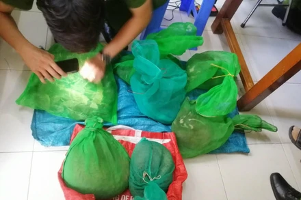 Toàn bộ số động vật nguy cấp, quý hiếm bị công an bắt giữ (ảnh do CA cung cấp). 