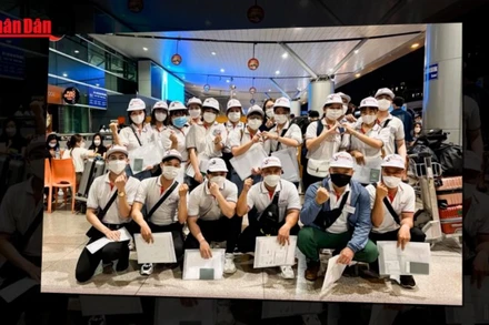 [Video] Cảnh báo lừa đảo tuyển lao động nghề hàn, khuôn mẫu làm việc ở Hàn Quốc