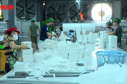 [Video] TP Hồ Chí Minh: Nhu cầu tuyển dụng lao động phổ thông tăng mạnh