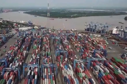 [Video] Cưỡng chế, dừng làm thủ tục hải quan đối với nhiều doanh nghiệp nợ thuế