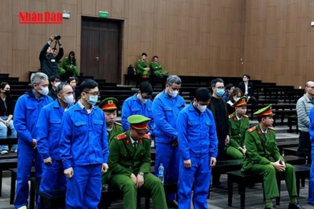 [Video] Xét xử vụ án vi phạm quy định về đấu thầu tại VNCERT