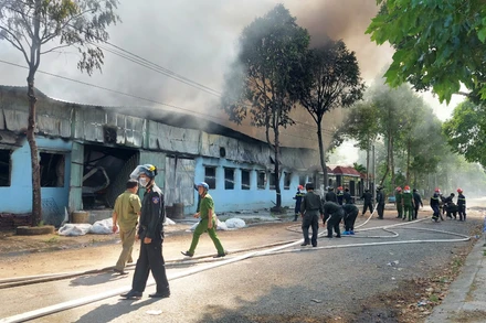 [Video] Đồng Tháp: kịp thời dập tắt vụ cháy kho composite, không có thiệt hại về người