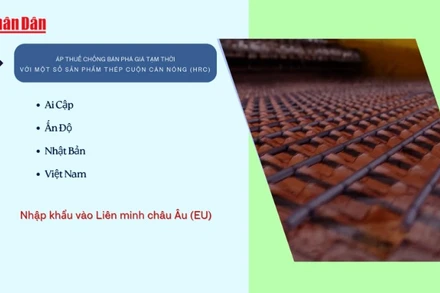 [Video] EU áp thuế chống bán phá giá tạm thời với một số sản phẩm thép cuộn cán nóng của Việt Nam 