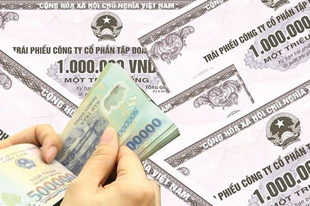 [Video] Không có đợt phát hành trái phiếu doanh nghiệp nào trong tháng 2/2025