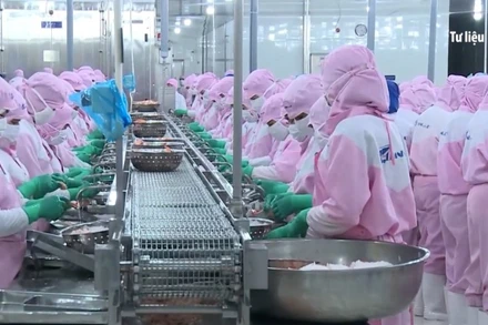 [Video] Xuất khẩu thủy sản sang Mỹ biến động do chính sách thuế quan 