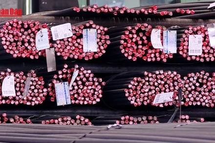 [Video] Hoa Kỳ áp thuế chống bán phá giá thép mạ Việt Nam