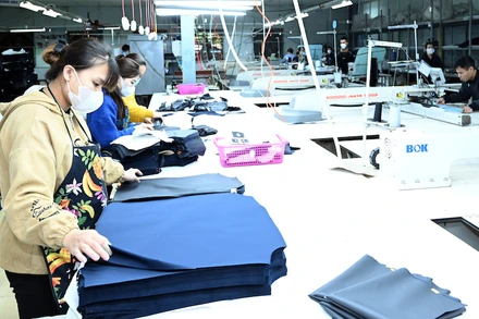 Sản xuất các mặt hàng xuất khẩu tại Công ty May cổ phần Bắc Giang.