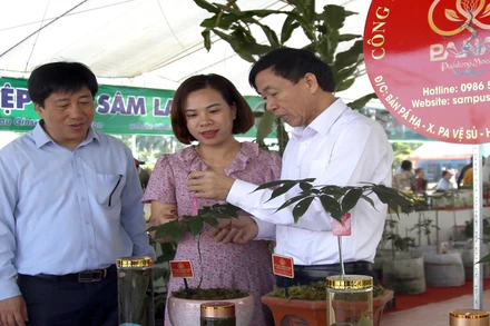 Sự kiện “Thúc đẩy liên kết vùng trong phát triển thương mại điện tử - Nâng tầm sản phẩm vùng trung du và miền núi phía bắc” sắp diễn ra tại Lai Châu.