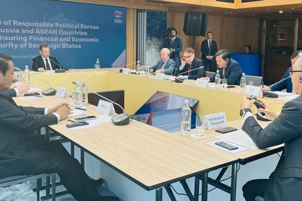 Đại diện Việt Nam tham gia thảo luận. 