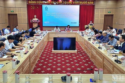 Các đại biểu thảo luận, cho ý kiến tại Hội thảo.