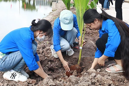 Đoàn viên, thanh niên Ninh Bình thực hiện các công trình tình nguyện trong khuôn khổ Ngày cao điểm.