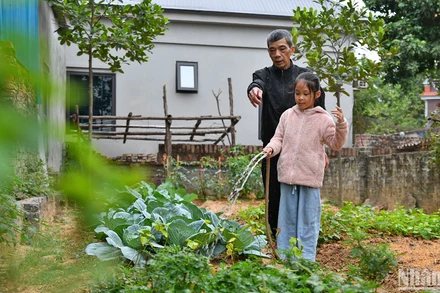 Tống Nhã Linh giúp ông nội chăm sóc mảnh vườn nhỏ xinh bên cạnh nhà. 