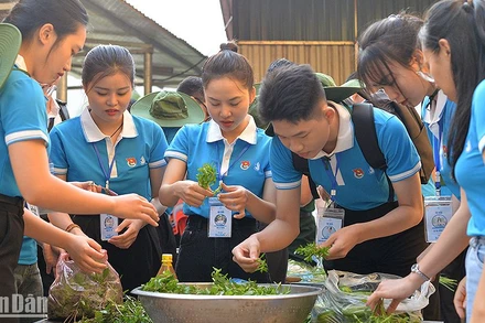 Ca sĩ Ngô Lan Hương (thứ 3 từ trái sang) và các đại biểu Hành trình chuẩn bị "Bữa ăn cho em". 