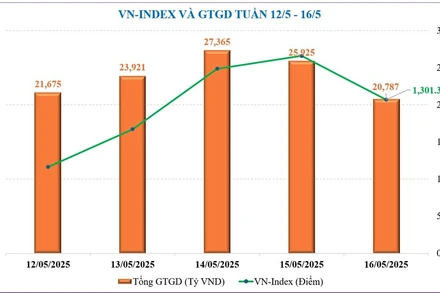 Thị trường chứng khoán trong nước vừa có một tuần diễn biến rất tích cực cả điểm số và thanh khoản.