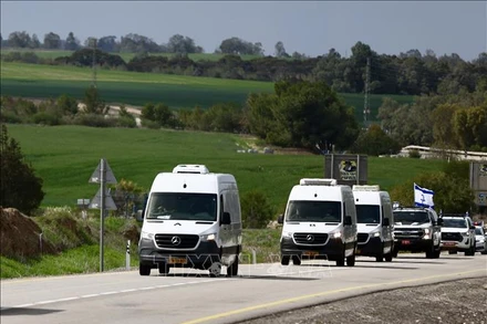 Đoàn xe chở thi thể các con tin được Phong trào Hamas trao trả theo thỏa thuận ngừng bắn với Israel di chuyển trên tuyến đường ở miền Nam Israel ngày 20/2/2025. (Ảnh: THX/TTXVN)