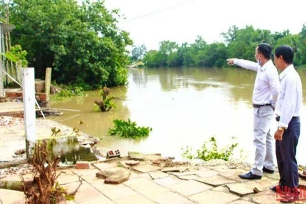 Điểm sạt lở ở huyện Vũng Liêm tiếp tục rạn nứt trong những ngày gần đây. (Ảnh: BÁ DŨNG)