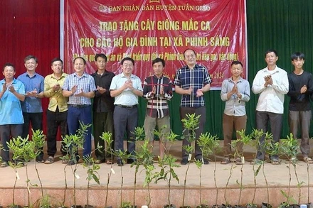 Các đồng chí lãnh đạo huyện Tuần Giáo trao cây mắc-ca giống tặng các gia đình đồng bào dân tộc thiểu số ở xã Phình Sáng, huyện Tuần Giáo.