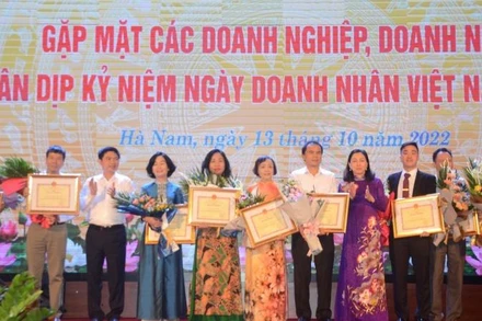 Lãnh đạo tỉnh Hà Nam tặng Bằng khen của Chủ tịch UBND tỉnh Hà Nam cho các doanh nghiệp có thành tích xuất sắc.